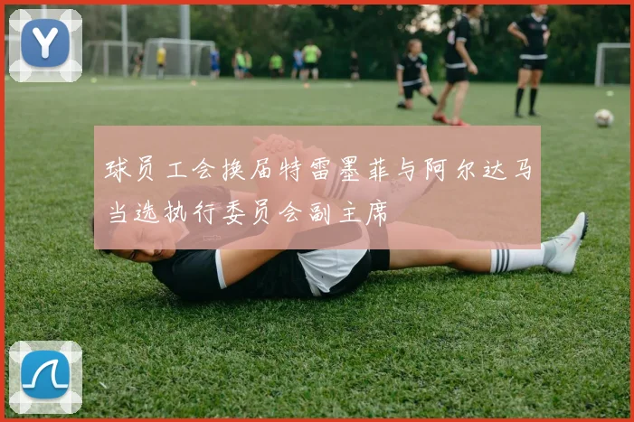 球员工会换届特雷墨菲与阿尔达马当选执行委员会副主席